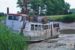 DSC03308