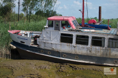DSC03314