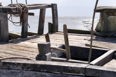 DSC03334