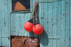 DSC03349