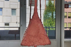 DSC00730
