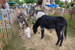 DSC01640