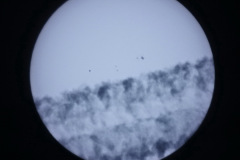 DSC09484