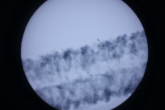 DSC09485