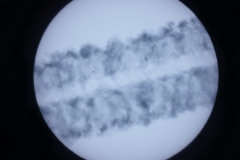 DSC09487
