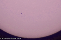 DSC09523halb