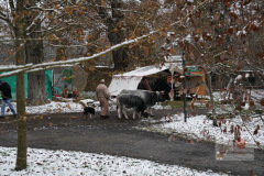 DSC08119