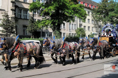 muenchner_oktoberfest_2009_13
