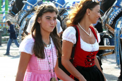 muenchner_oktoberfest_2009_22