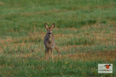 DSC05099