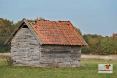 DSC06514