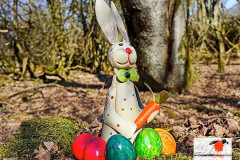 5b62d01506bd8a53b6c4928e25fa9b8a_L