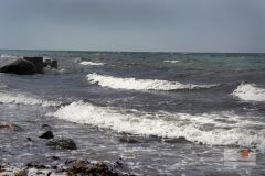 DSC01834