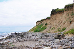 DSC02248