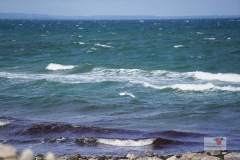 DSC02309