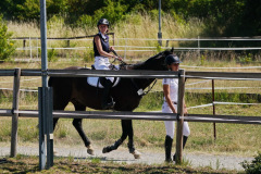 DSC00297