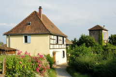 DSC04321