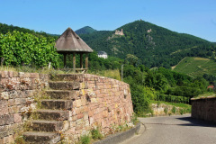 DSC04451