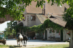DSC04693