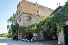 DSC04704