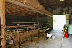 DSC04720