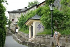 SONY DSC