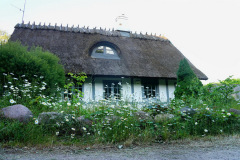 DSC05752