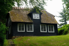 DSC05860