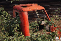 DSC00715