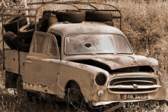 neu8ii