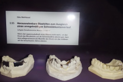 DSC00572