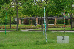 DSC00335