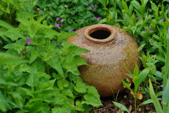 DSC00382