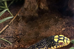 DSC02s570
