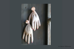 5K5Q7691