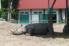 safaripark-stukenbrock_3_20130221_1736809602