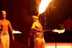 safaripark-stukenbrock_4_20130221_1579456368