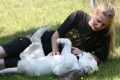 safaripark-stukenbrock_5_20130221_1434054763